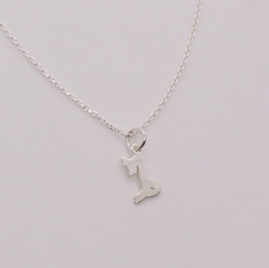 Zodiac Necklaces Sterling Silver
