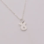 Load image into Gallery viewer, Zodiac Necklaces Sterling Silver