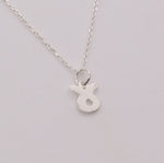 Load image into Gallery viewer, Zodiac Necklaces Sterling Silver
