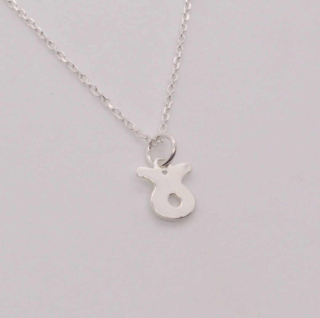 Zodiac Necklaces Sterling Silver