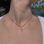 Load image into Gallery viewer, Gold-Filled Snake Necklace