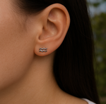 Load image into Gallery viewer, Aquarius Zodiac Earrings