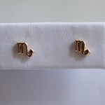 Load image into Gallery viewer, Scorpio Zodiac Earrings