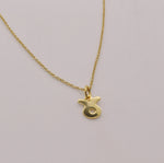 Load image into Gallery viewer, Zodiac Necklaces Gold-Plated
