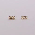 Load image into Gallery viewer, Aquarius Zodiac Earrings
