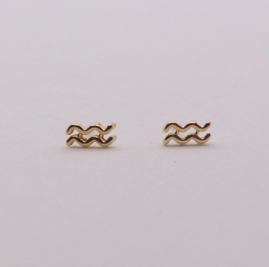 Aquarius Zodiac Earrings