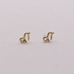 Load image into Gallery viewer, Capricorn Zodiac Earrings
