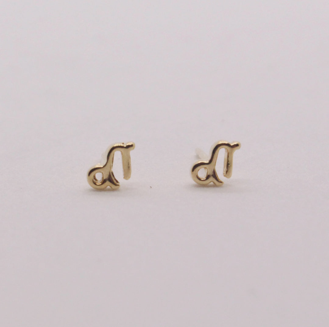 Capricorn Zodiac Earrings