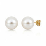 Load image into Gallery viewer, Fresh Water Pearl Gold Studs