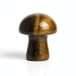 Load image into Gallery viewer, Mini Tiger's Eye Mushroom