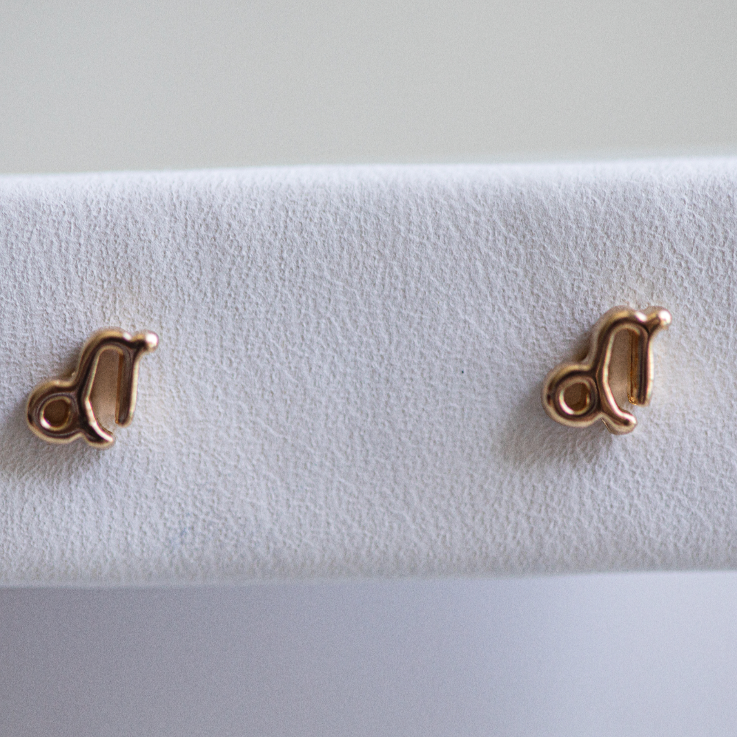 Capricorn Zodiac Earrings