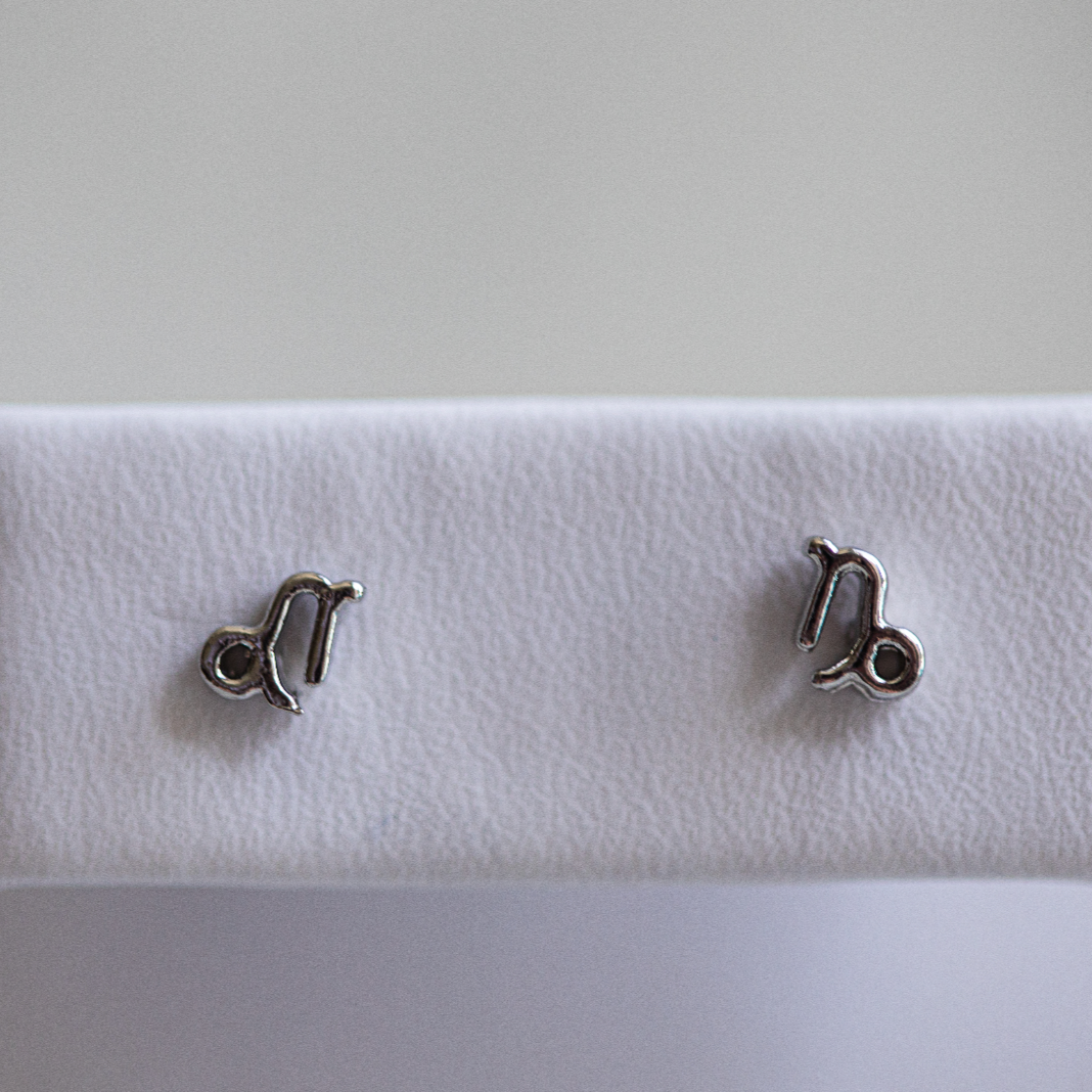 Capricorn Zodiac Earrings